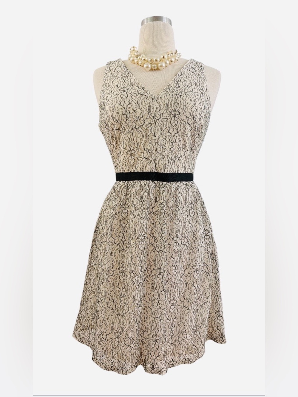 NWT-Ivory Lace V-Neck Mini Dress with Black Waistband - Picture 7 of 9